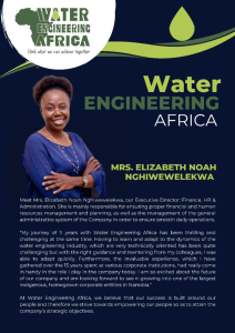 Water Engineering Africa
